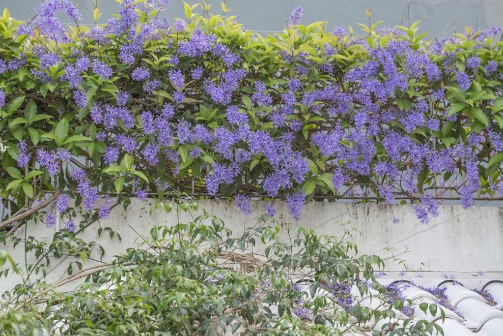 Morada Das Flores Porto Alegre Ngoại thất bức ảnh