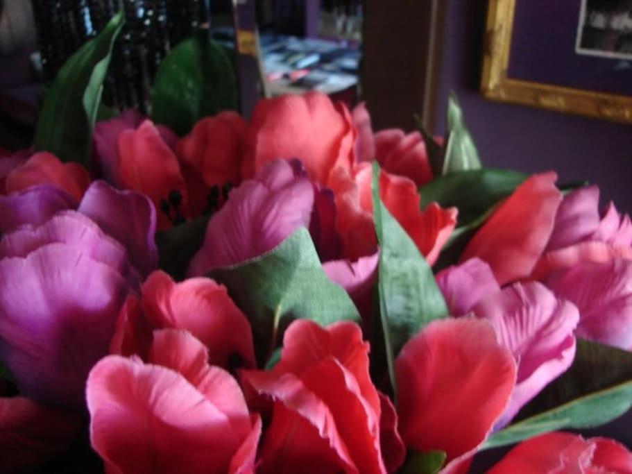 Morada Das Flores Porto Alegre Ngoại thất bức ảnh