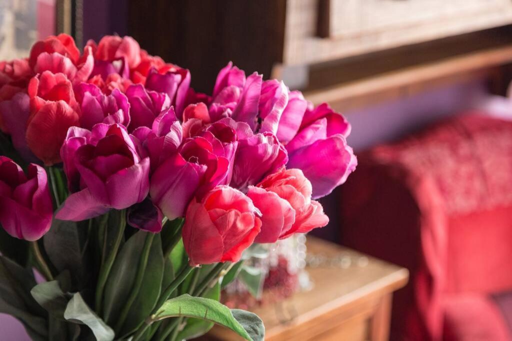 Morada Das Flores Porto Alegre Ngoại thất bức ảnh